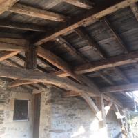 vieux bois